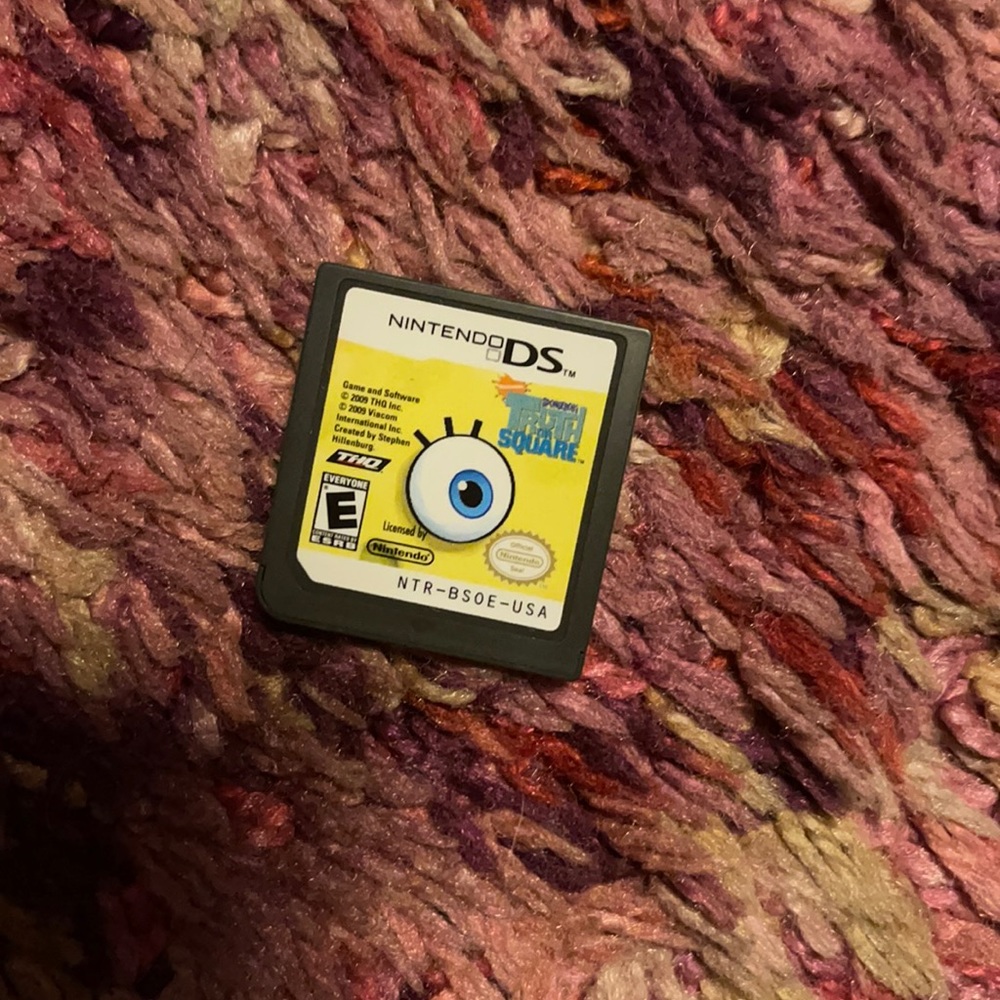 Dsi game